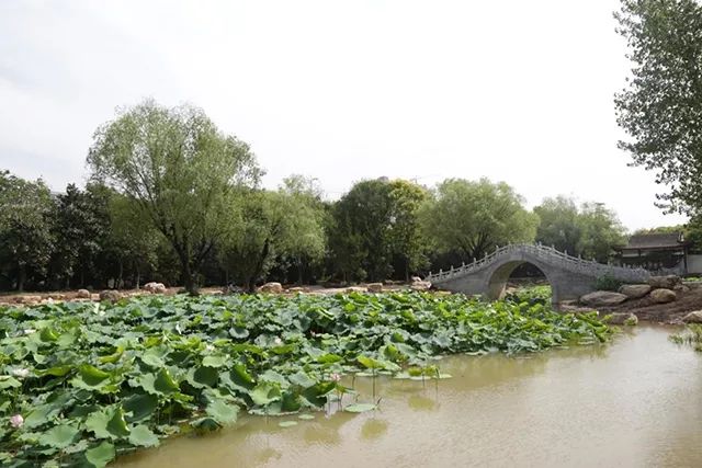 红绿蓝颜色寓意,红绿蓝的色相