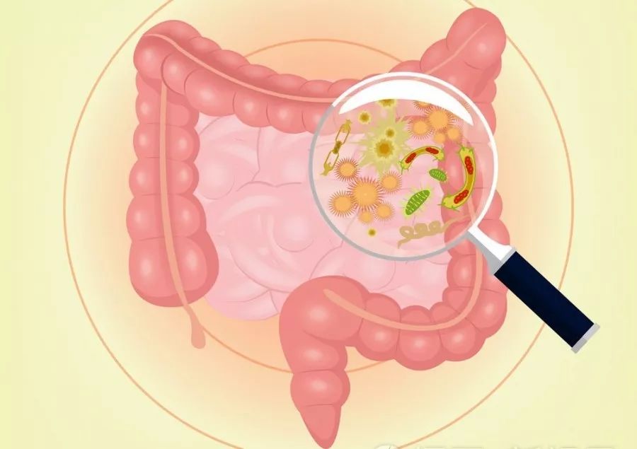 防癌体检能查出所有癌症吗,防癌体检套餐