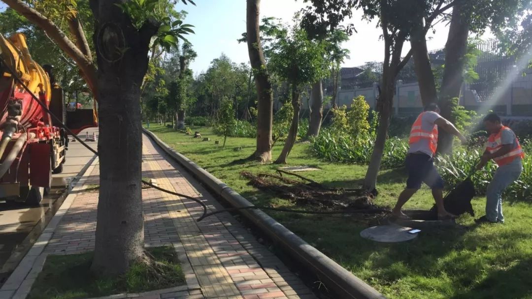 政务大厅搬家视频,政务区政务搬家