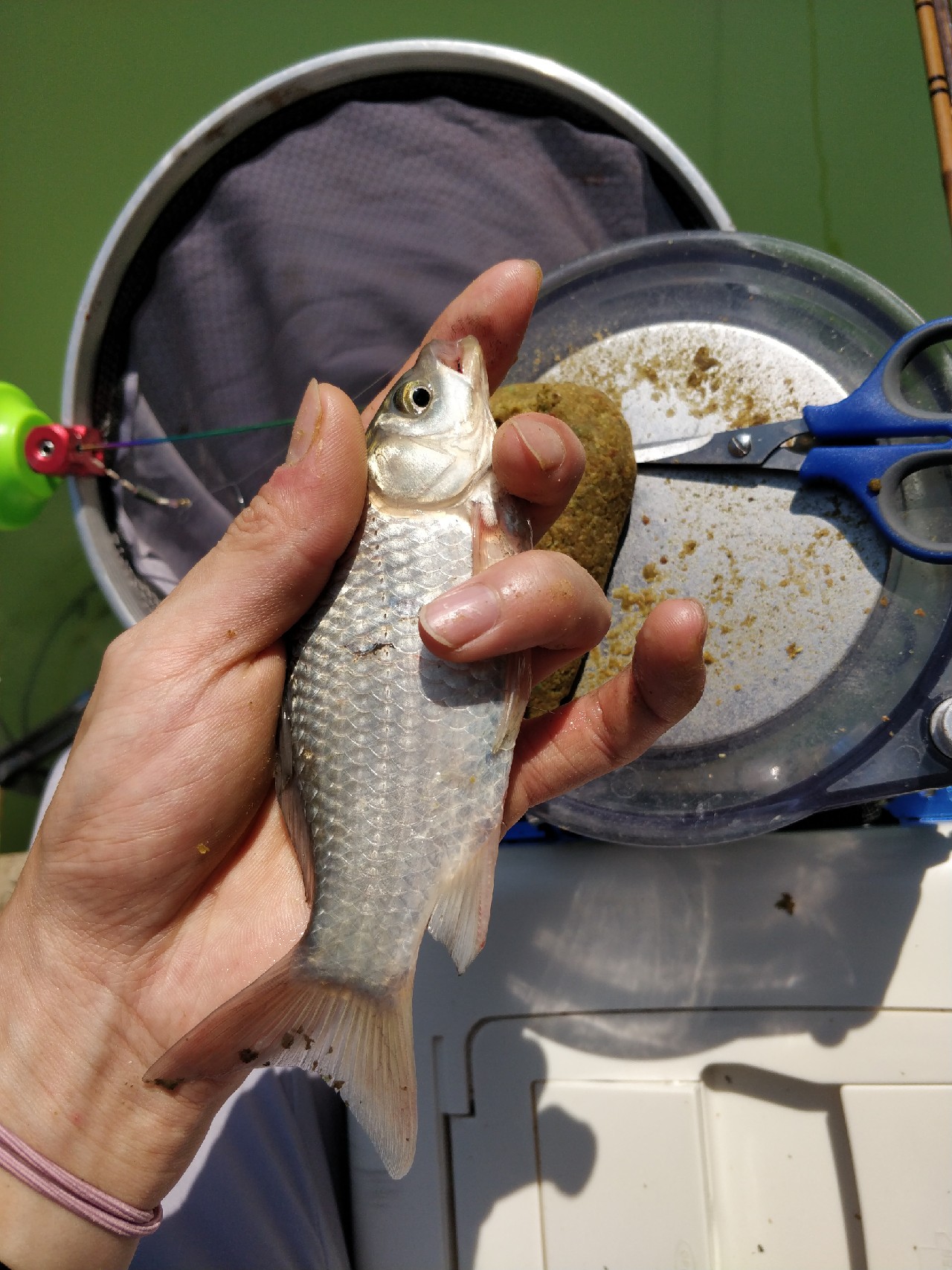 周五钓鱼攻略,周五垂钓