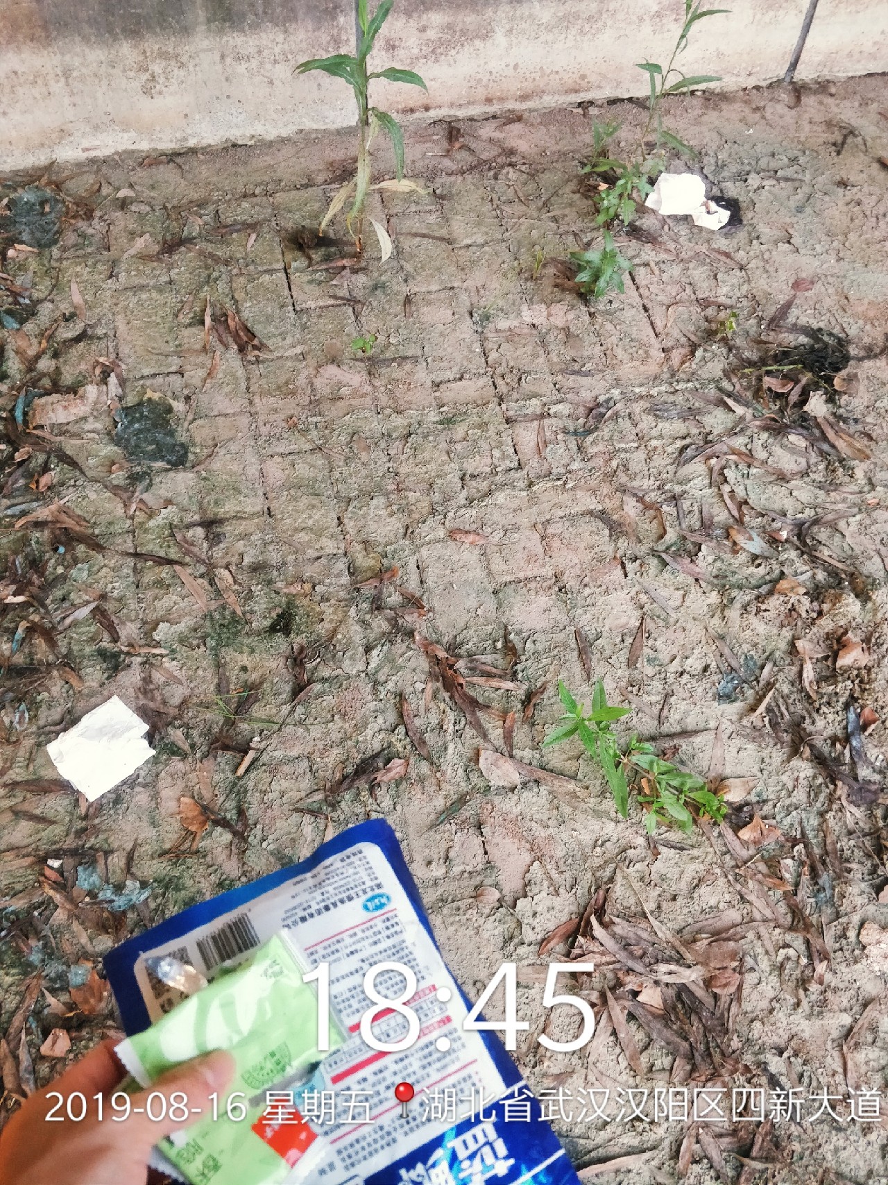 周五钓鱼攻略,周五垂钓