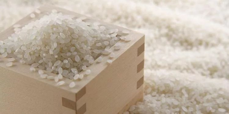 大米生虫怎么办最简单的方法,大米生虫怎么办最有效方法