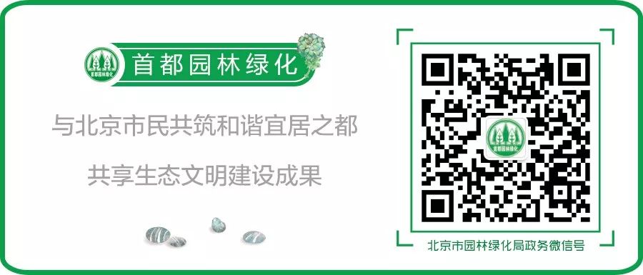 占地30亩的公园微型公园,8个新批公园