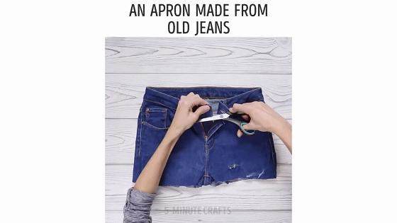 在家种菜,不用土不用肥,“一张纸”就搞定