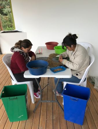 为什么游客都喜欢哥伦比亚,哥伦比亚咖啡的口感与特点