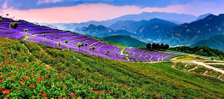 南天丽景绿溪谷,兴隆县南天丽景千亩花海