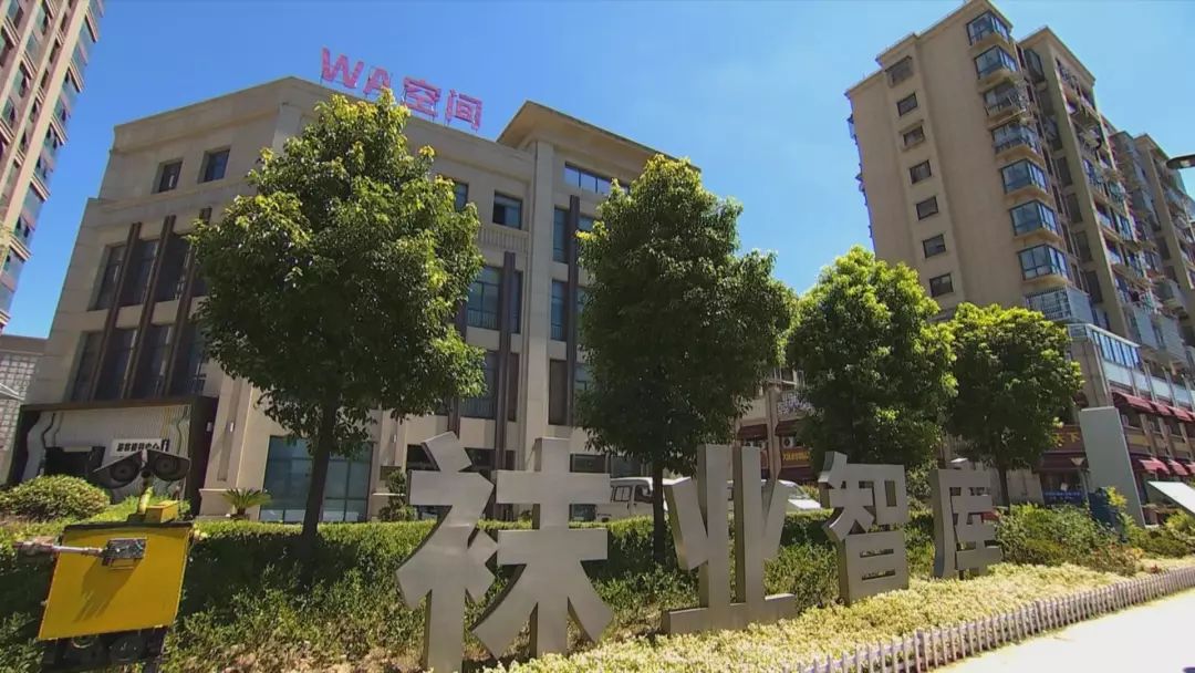 去中国袜子王国，做三毛钱的“大生意”