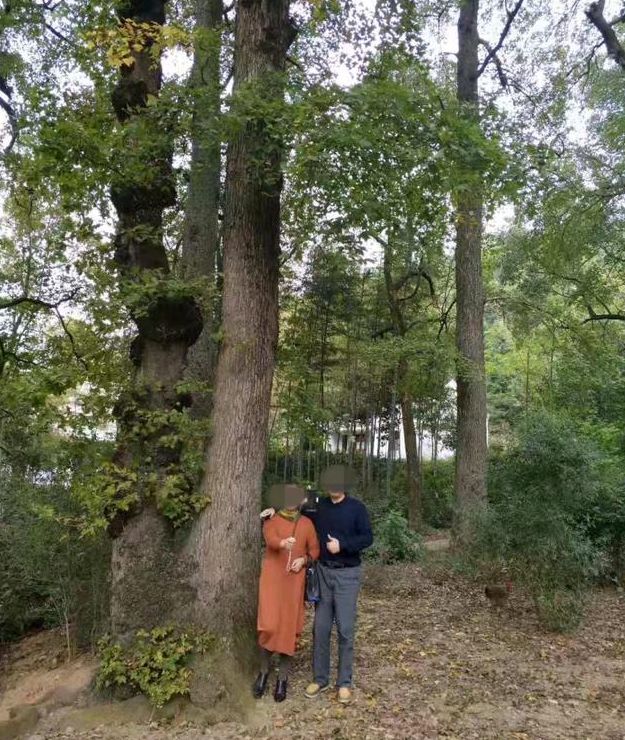 永州中院法官手写保证书,永州中院屈中亚保证书