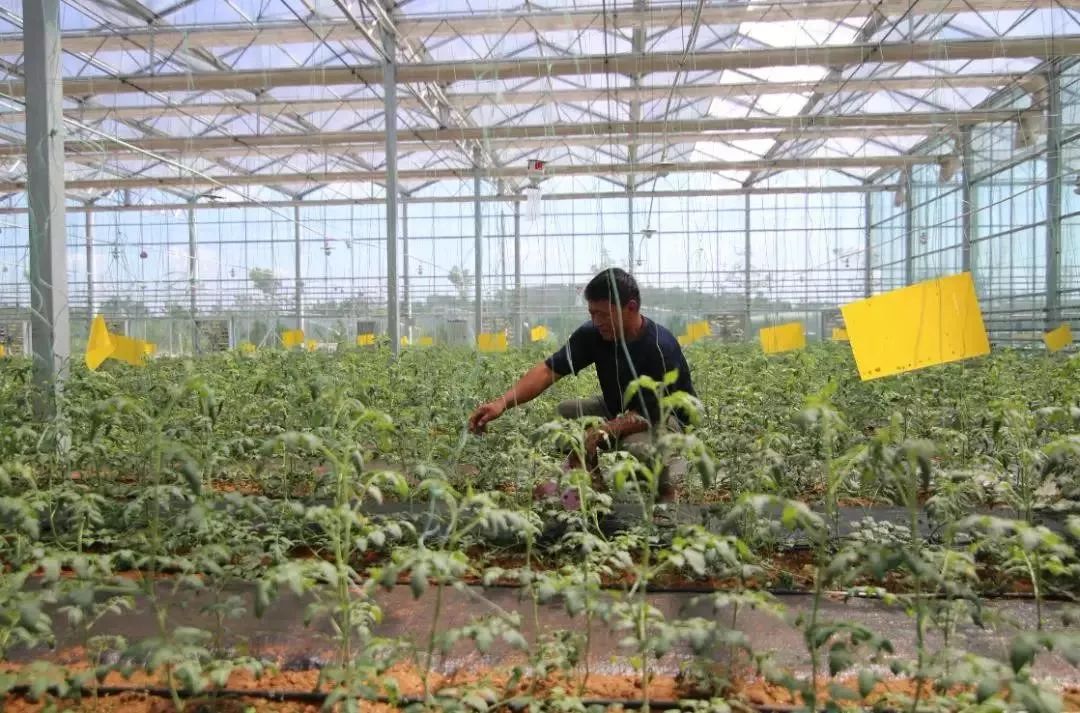 乳山白沙滩美丽乡村,怎么让村庄快速发展