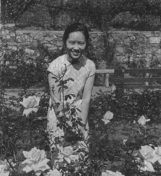 绝世美人的女星,真正的绝世美女都是雌雄莫辨