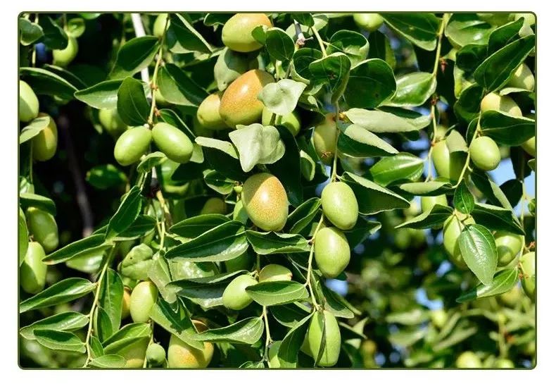 潮男必学的撩妹神技,男生出门必备撩妹神器