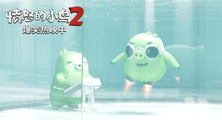 愤怒的小鸟2动画片免费观看,愤怒的小鸟2十周年官方纪念动画