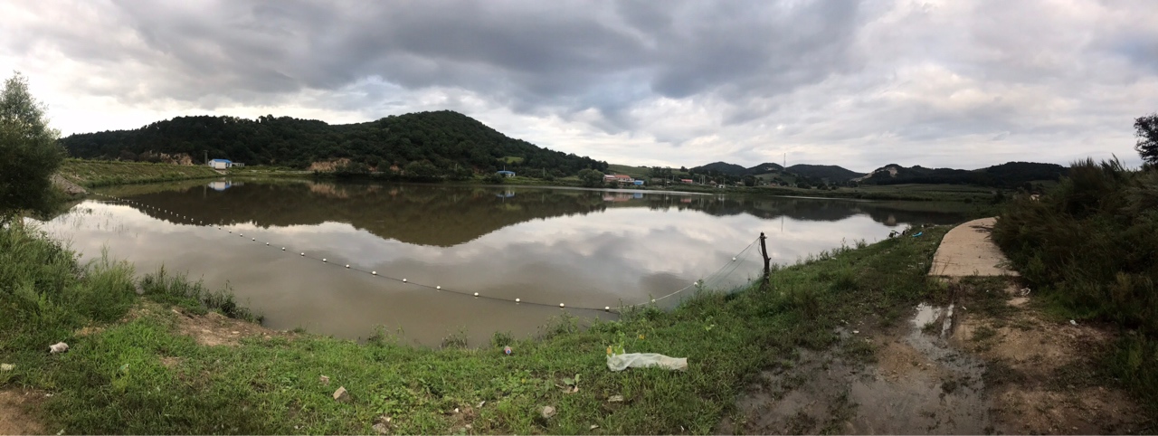 水库夜钓鲤鱼草鱼视频,水库夜钓大鲤鱼