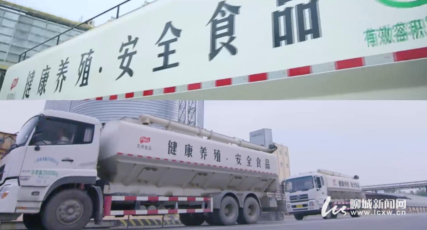 “奋斗70年融媒看巨变”融媒体采访阳谷县新凤祥集团：以创新驱动稳坐全球知名品牌