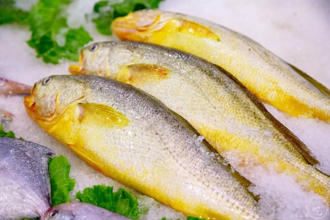 东海开渔第一网！20年本帮菜大佬开卖小海鲜，人均只要100+