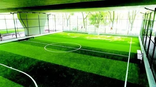 武汉建设中的专业足球场,武汉建设专业球场