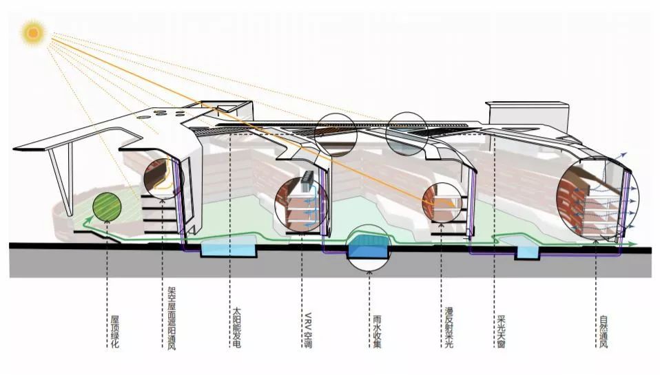泰达实验西校区,泰达实验学校西校区平面图