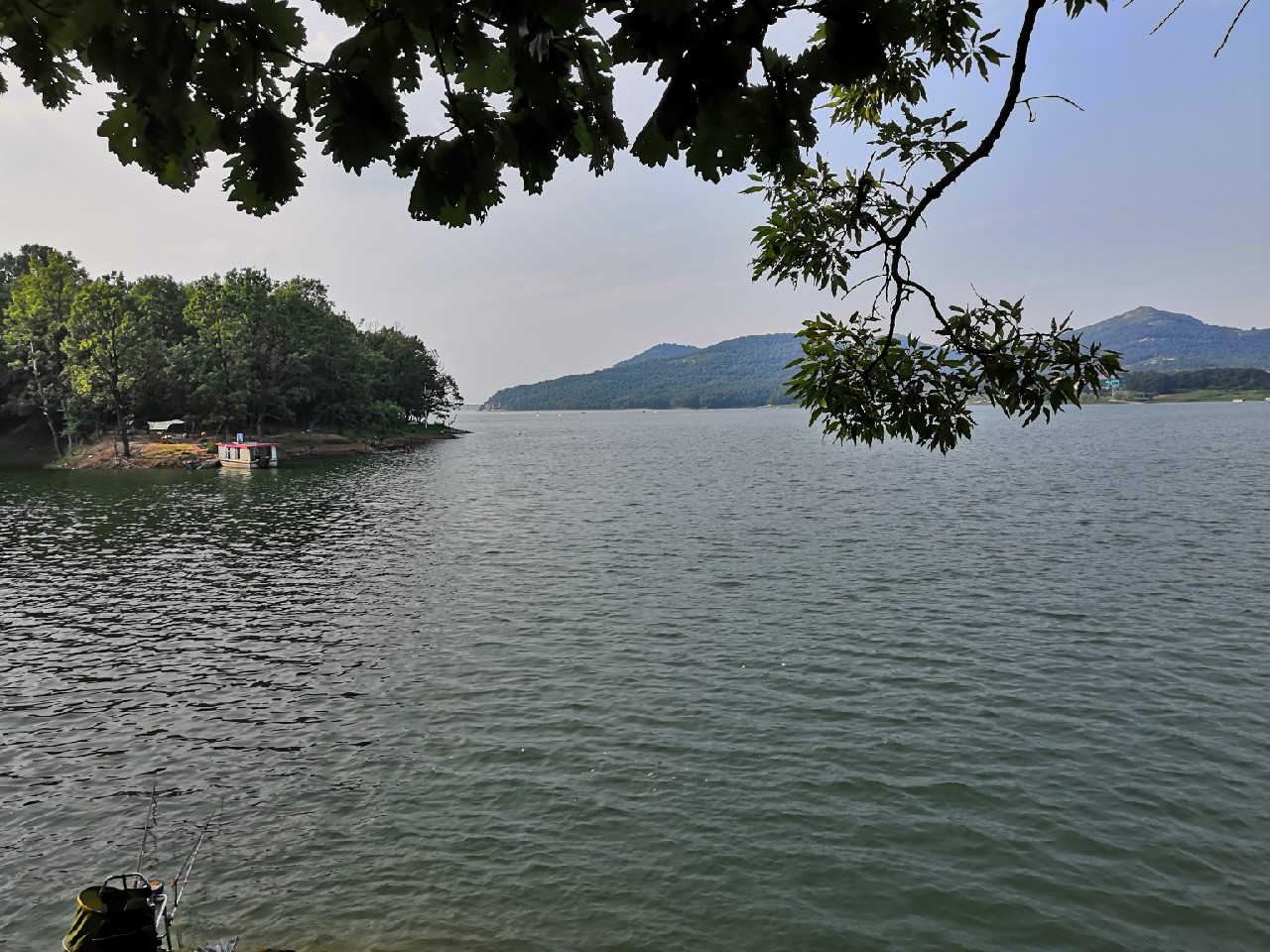 花钱钓鱼鱼可以拿回去吗,钓鱼珍惜资源才是王道