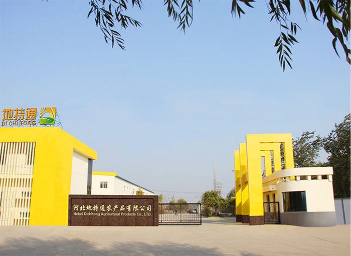 【城事】骄傲+1,河北日报专题报道鹿泉这个乡镇!