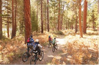 占地30亩的公园微型公园,8个新批公园