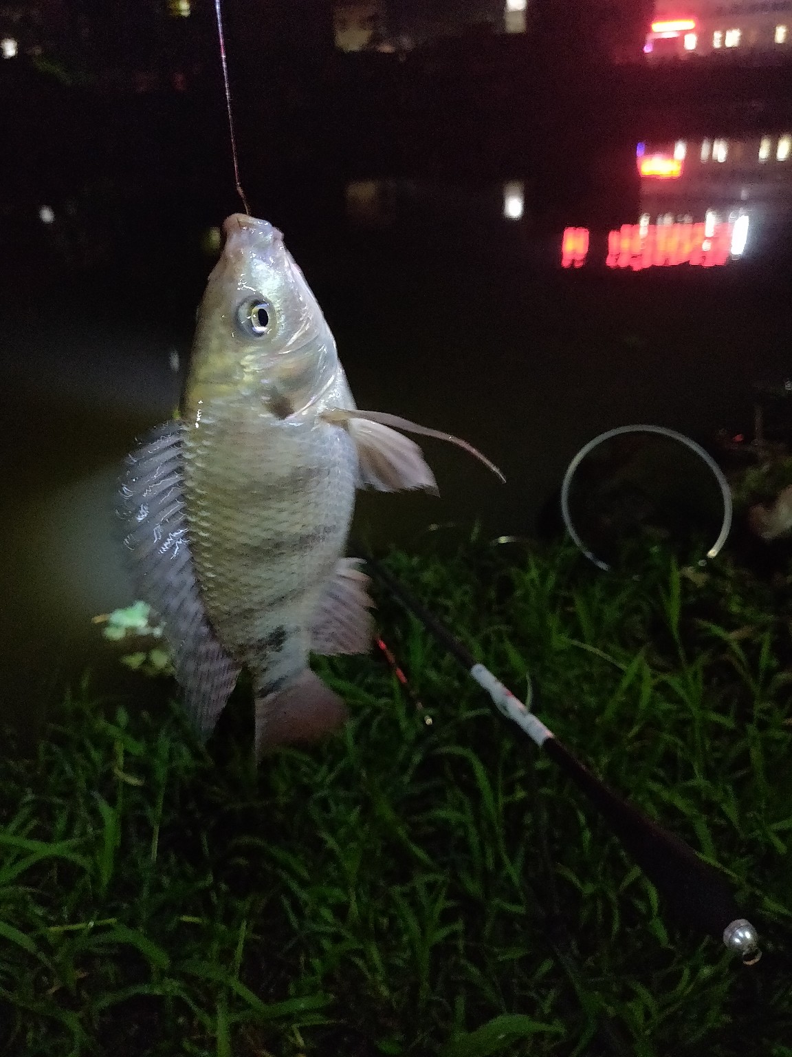 水情不稳定如何钓鱼,水情不明钓鱼必须每次都调漂吗