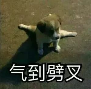 海南停航停运最新消息,停航停运最新消息海口