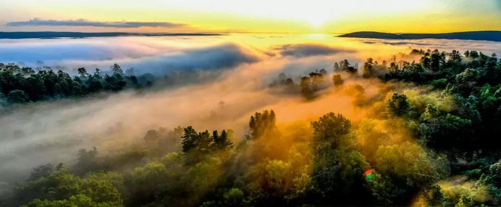 瞭望丨习*平近**总书记“林区三问”的伊春答卷