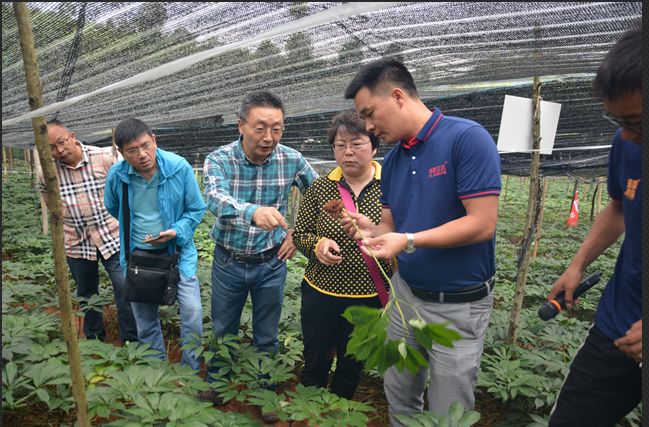 病虫害防治的新的科技成果,病虫害防治提高农产品质量