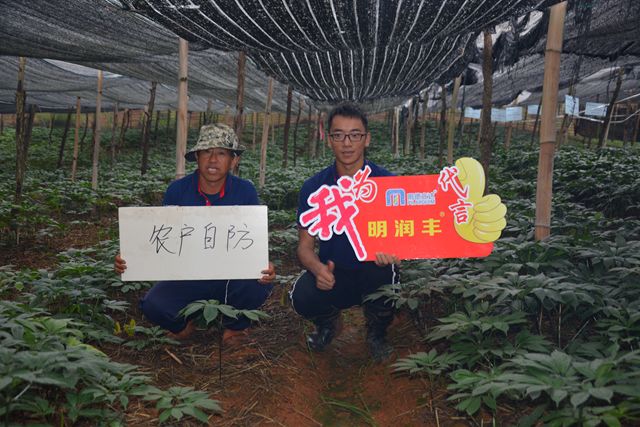 病虫害防治的新的科技成果,病虫害防治提高农产品质量