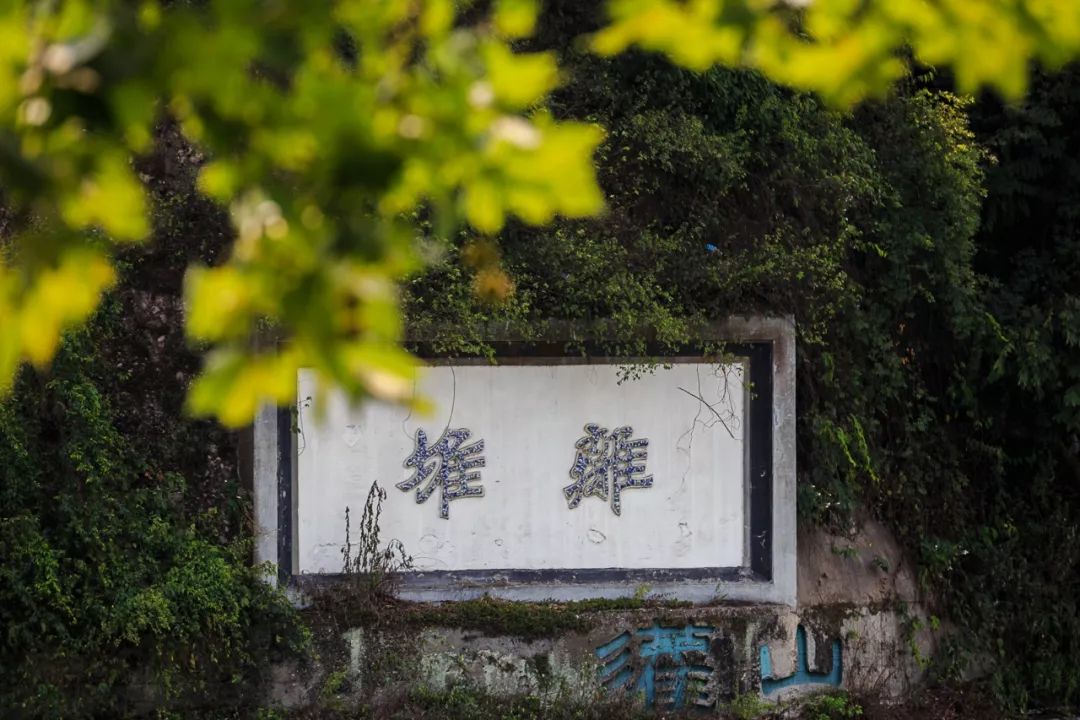 四川天府之国跟都江堰有关系吗,为什么四川没有担担面