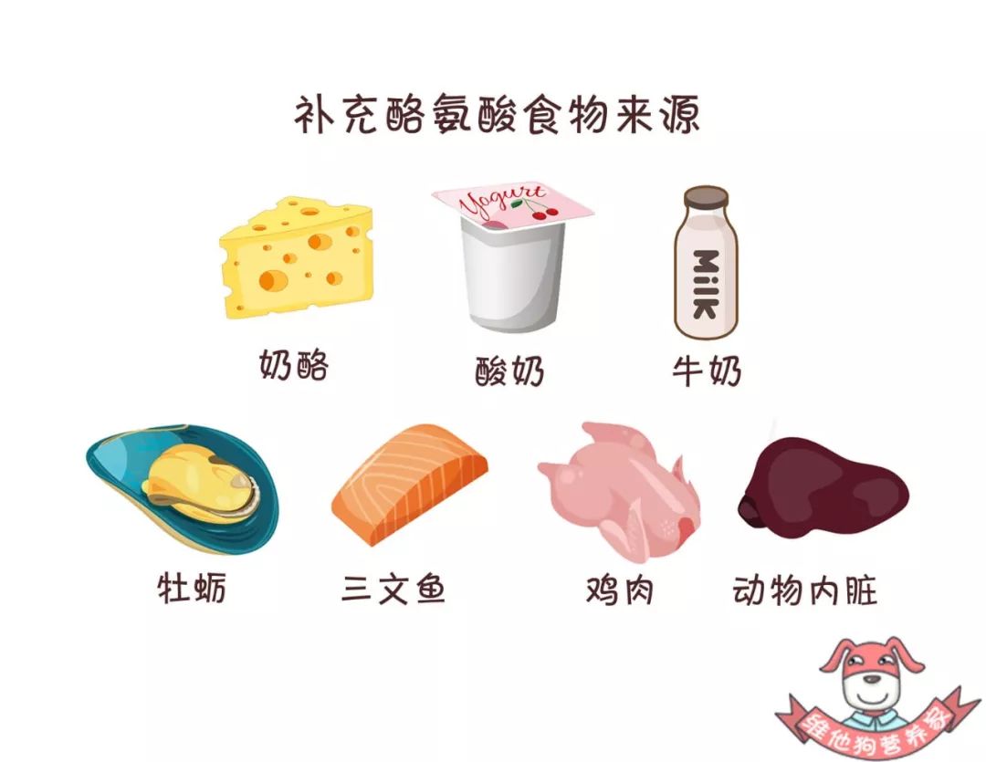 总是熬夜晚睡如何调整自己的作息,如何迅速的把熬夜作息调整回来