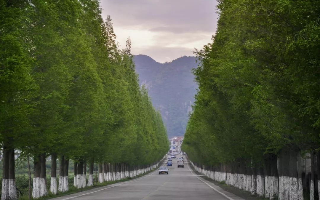 70年巨变短视频,70年巨变