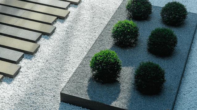 星启未来文化传媒邛崃,星启未来设计展示