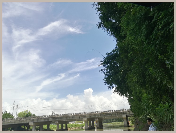 异地最后一次作钓，江鳊鱼获全部送邻居