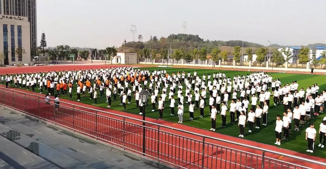 沙坪坝教育学校,沙坪坝最新建学校消息