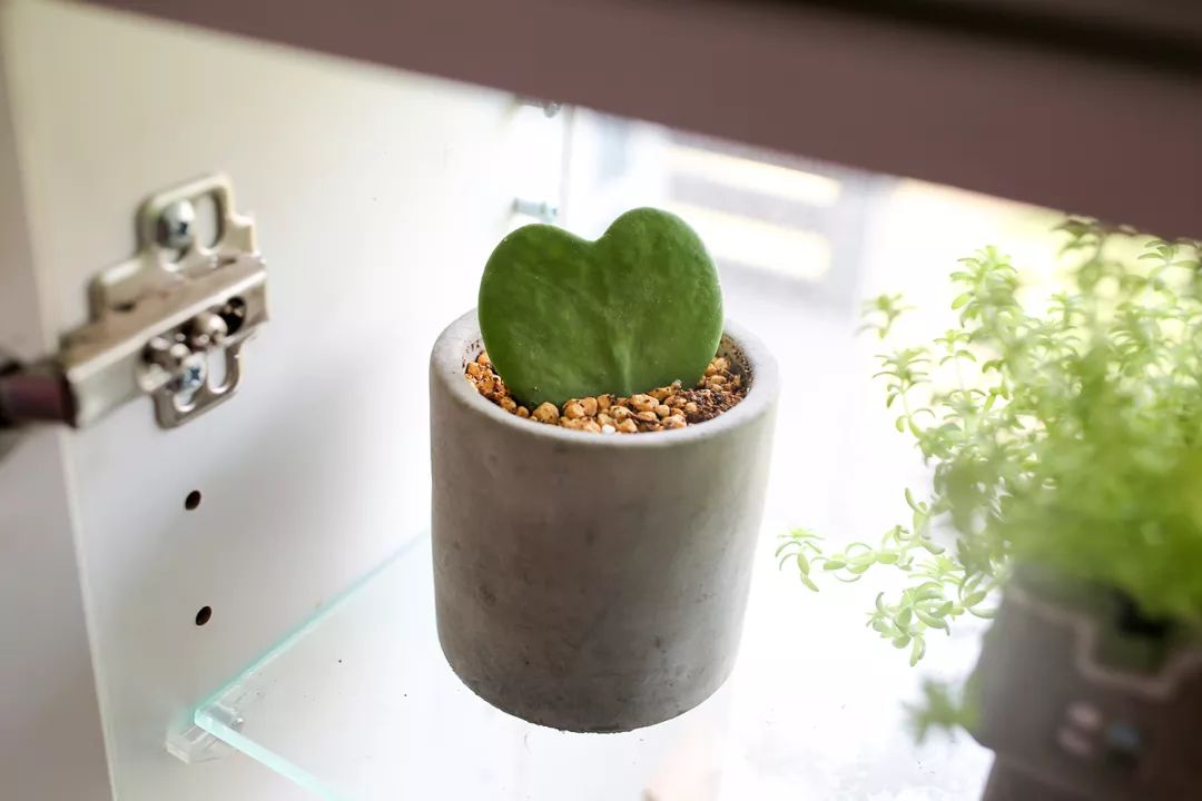 骞哥涔︾睄鎺ㄨ崘涔﹀崟,骞哥璇荤墿