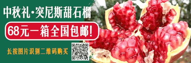 宜宾三江游船网上购票,宜宾三江游轮购票优惠活动