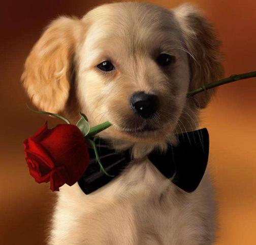 对小人绝不手软的三大生肖属相,这几大生肖成事不足还输人品