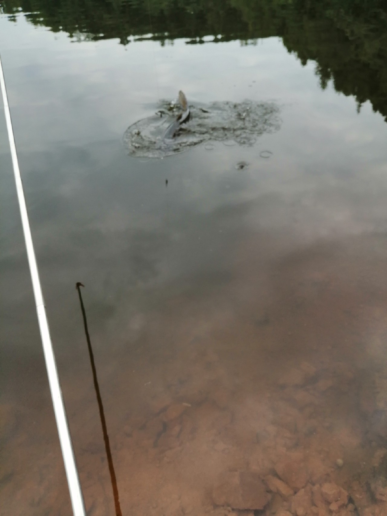 别人对你说钓鱼是什么意思,对于钓鱼各位钓友有什么看法