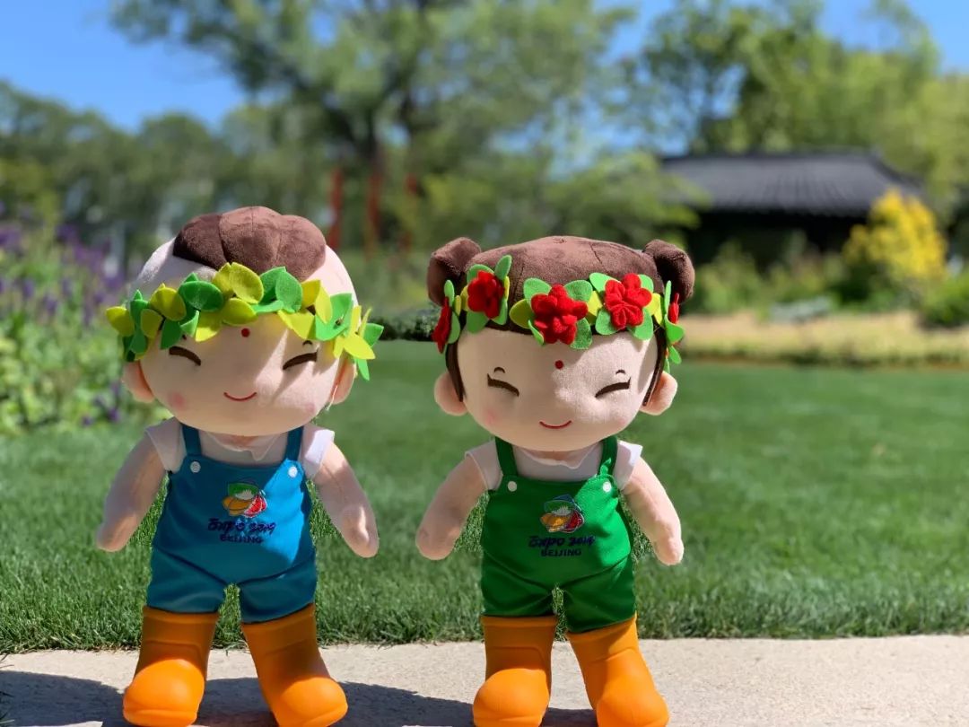 北京世园会2019小萌花,北京世园公园小萌芽