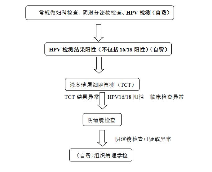 免费领取女生礼品,女性免费领礼包