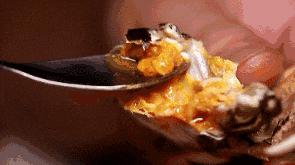 阳澄湖大闸蟹几月份最好吃最美味,吃阳澄湖大闸蟹的快乐季节