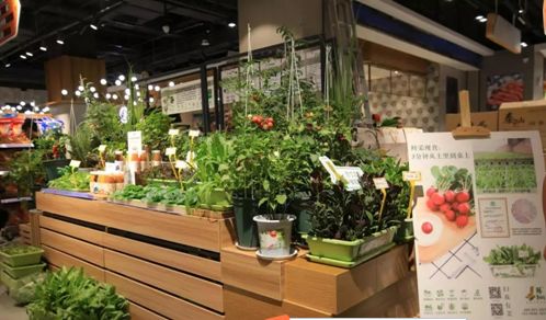 阿里20亿美金收购网易考拉;PRADA将关闭香港最大门店;盒马购物中心“盒马里”首家将落深圳|猫头鹰商业周报