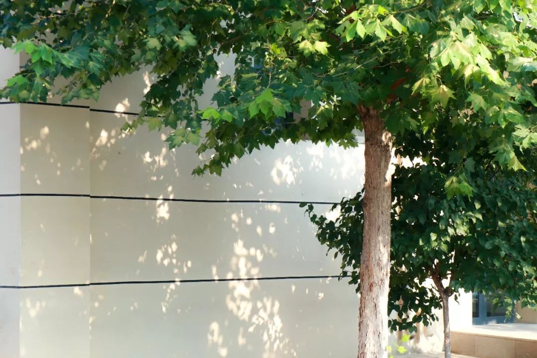 白露时节秋意浓金风玉露喜相逢,金风玉露七夕相遇