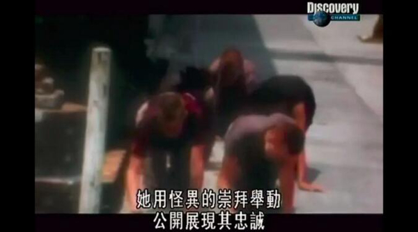 我终于知道了被*教邪***脑洗**的秘密