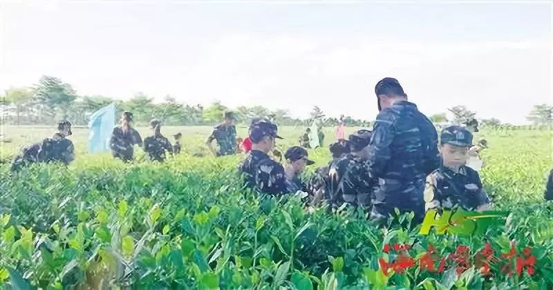 体验营销的五个维度,体验营销新概念