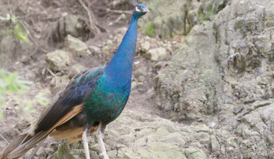 贵阳市三江强制隔离戒毒所官网,贵阳市第一强制隔离戒毒所四大队