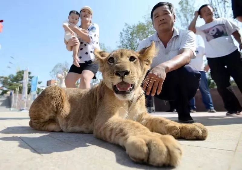 邯郸9月1日新闻,邯郸新闻9月20号