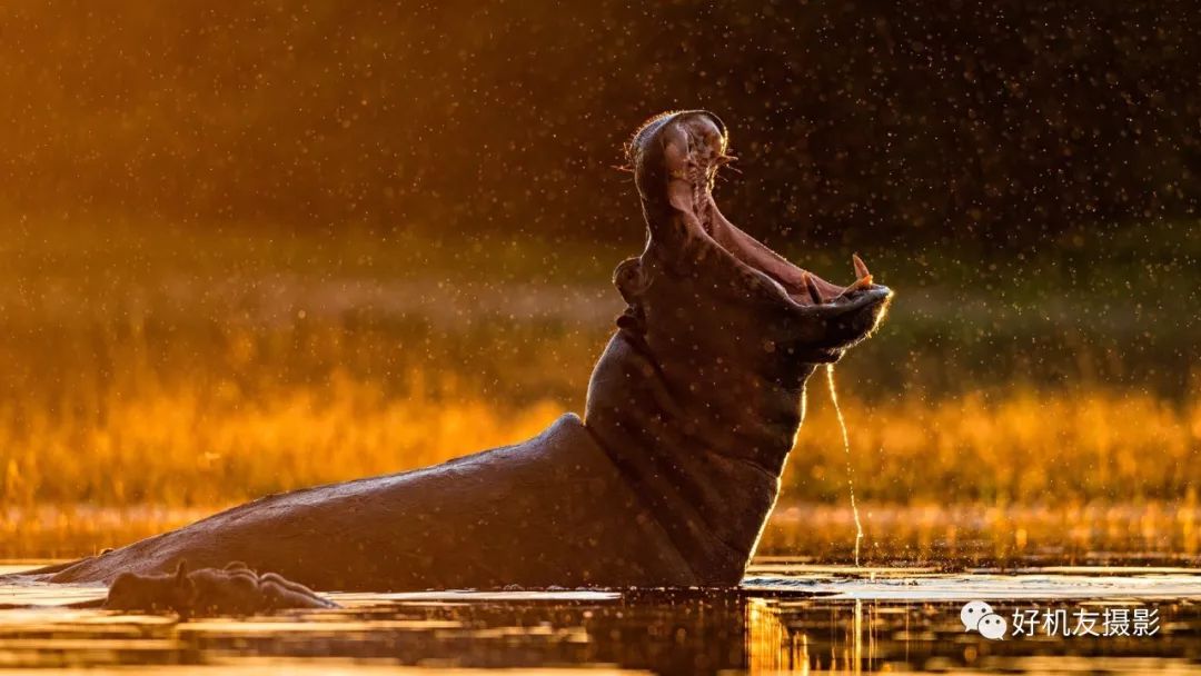 十种高级感摄影镜头,小众摄影入门必备镜头