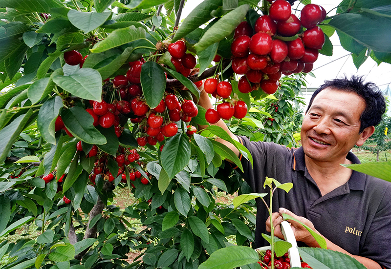 大河之北完整版视频,大河之北原唱完整版